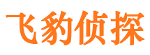 大厂市私家侦探